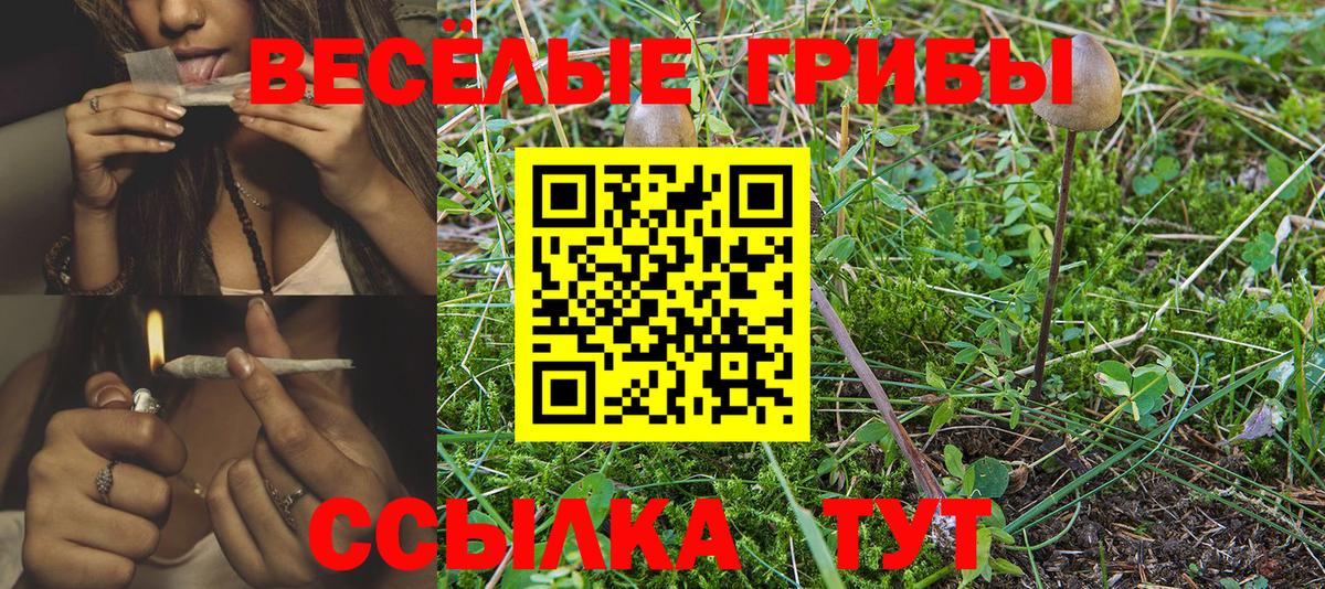 Прохладный  где купить наркоту  Вход с VPN  Галлюциногенные грибы Psilocybine cubensis 