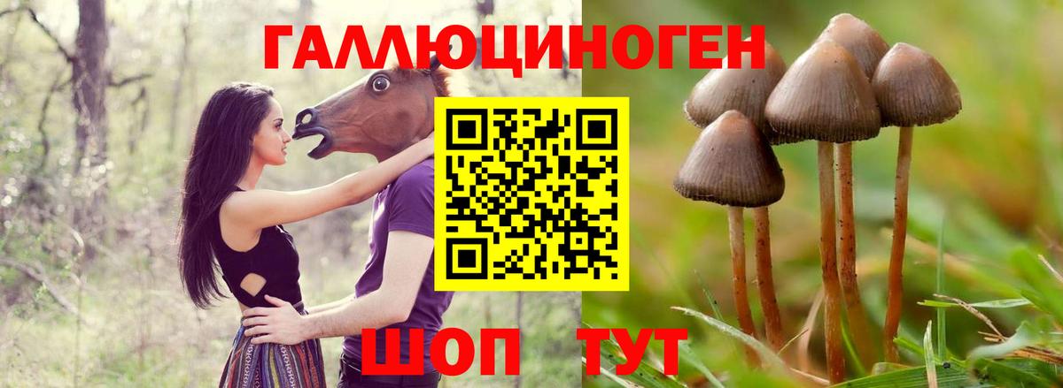 Псилоцибиновые грибы Magic Shrooms Прохладный